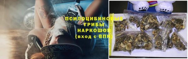 2c-b Надым