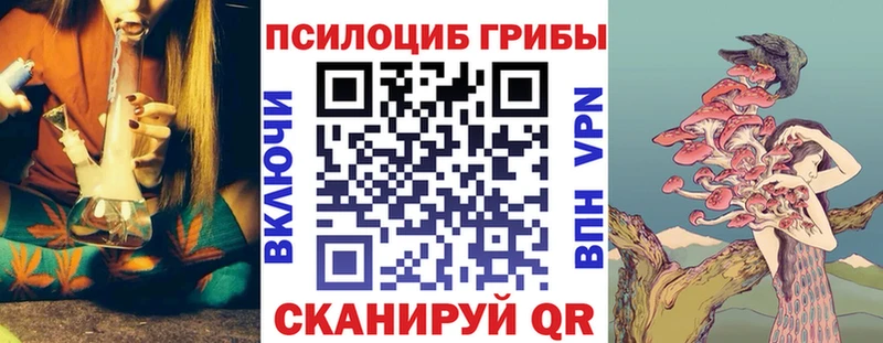 shop официальный сайт Таштагол Псилоцибиновые грибы мицелий